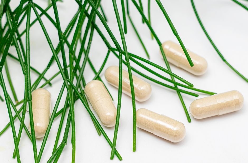 Best best wellness supplements for women over 40 2025